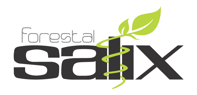 Salix Forestal